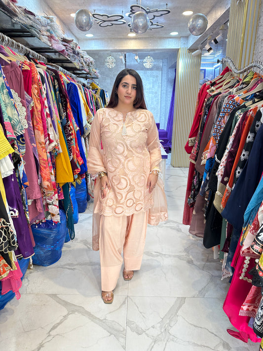 ‘Rashi’ Stunning Crochet Work Suit FS199
