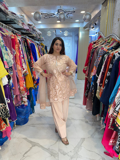 ‘Rashi’ Stunning Crochet Work Suit FS199