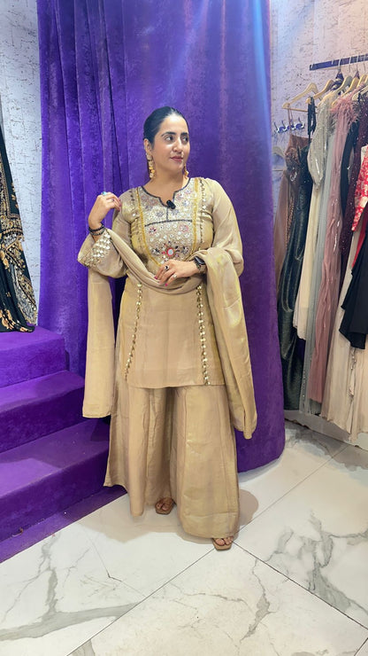 "CHHAVI" Beautiful Mirror Work Suit FS76