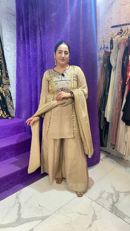 "CHHAVI" Beautiful Mirror Work Suit FS76