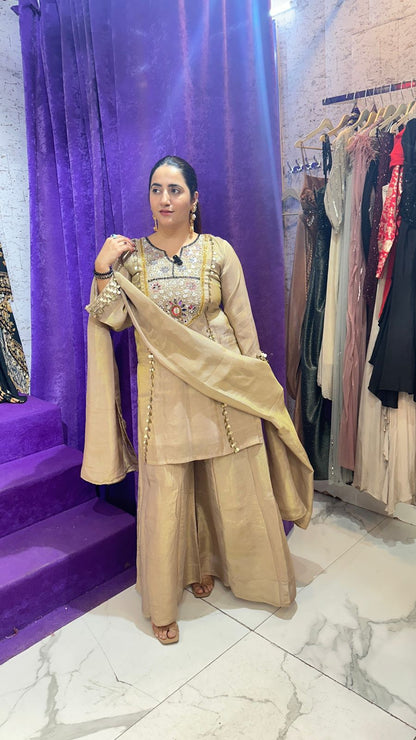 "CHHAVI" Beautiful Mirror Work Suit FS76