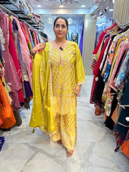 "SAANRI" Elegant Long Suit With Lace Work FS90