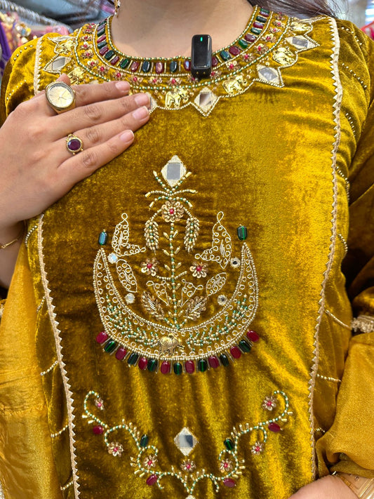 "RAABTA" Elegant Velvet Suit FS115