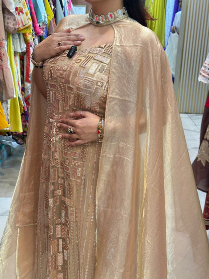 'DIVA' Shimmery Indo-Western Dress FS179